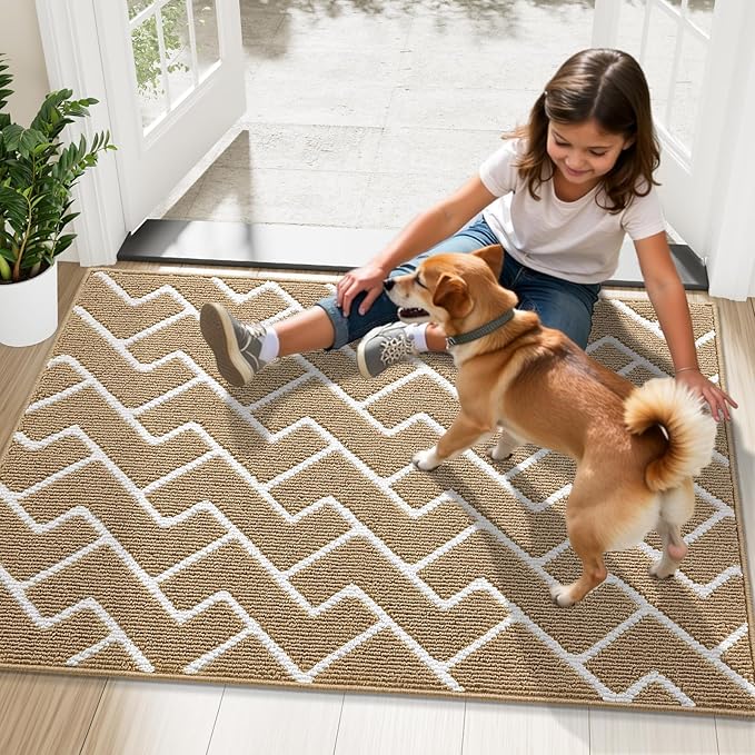 OLANLY Front Door Mat, Non-Slip Rubber Backing, Dirt Resistant and Absorbent, Washable, Easy to Clean Low-Profile Indoor Doormat for Back Door, Entryway, Inside Entrance, 32x20, Beige