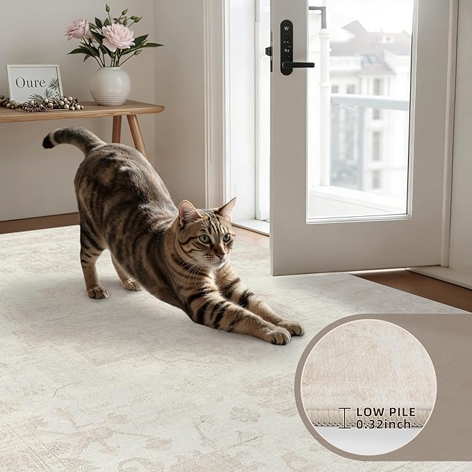 6x9 Area Rugs for Living Room: Vintage Boho Neutral Washable Rug Indoor Soft Large Area Rug Carpet for Bedroom Nursery Farmhouse Dining Room Office Floor Non-Slip Low Pile Under Table Rug Cream Beige