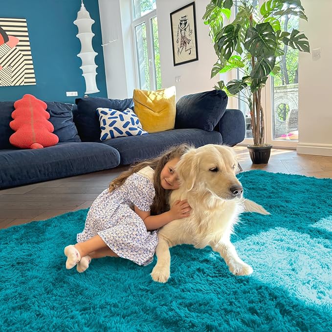 OLANLY Area Rugs for Living Room Bedroom, Machine Washable 4x5.9 ft Soft Fluffy Shaggy Bedside Rug, Indoor Floor Carpet for Kids Girls and Boys, Dorms, Nursery Rooms, Home Decor Aesthetic, Teal