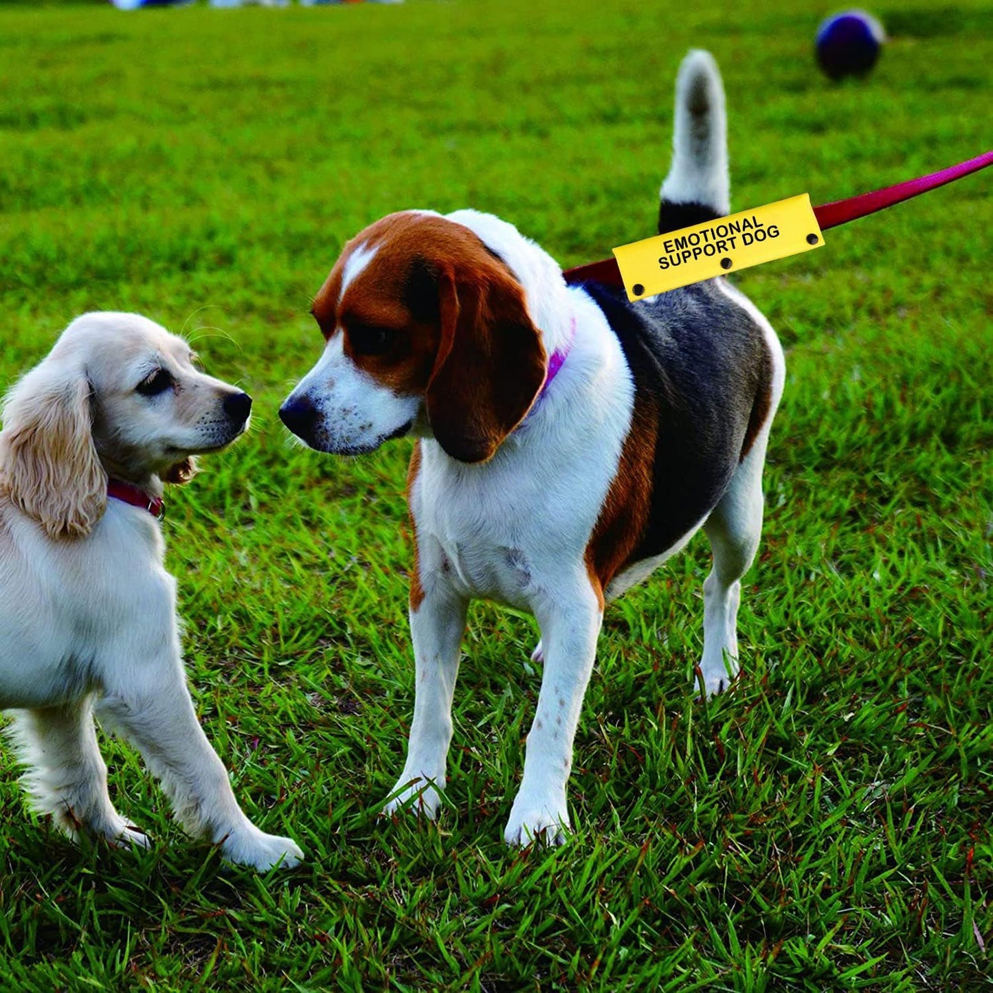 Therapy Service Dog Leash Sleeve Emotional Support Dog Leash Wrap Alert Hanging ID Patch Tag Pet Birthday Gift (Emotional Dog-YE Sleeve)