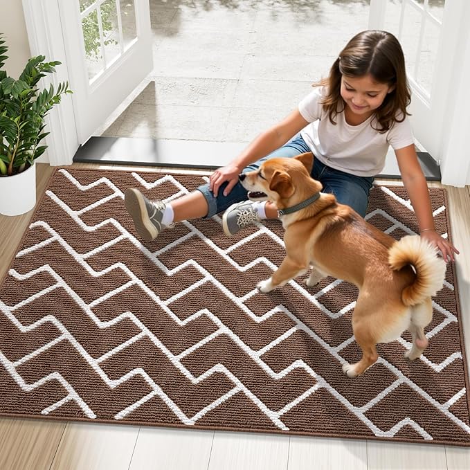 OLANLY Front Door Mat, Non-Slip Rubber Backing, Dirt Resistant and Absorbent, Washable, Easy to Clean Low-Profile Indoor Doormat for Back Door, Entryway, Inside Entrance, 48x32, Coffee