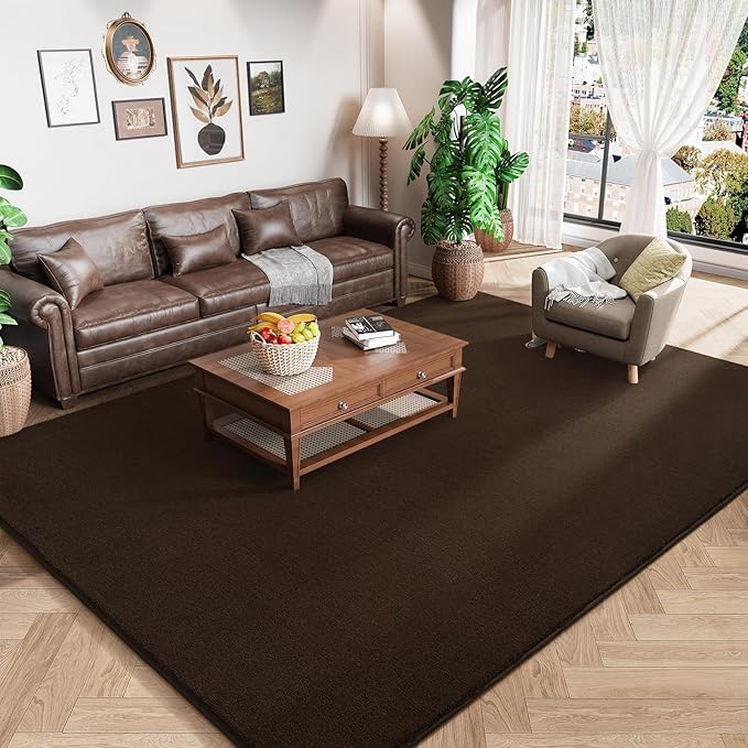 Amearea Modern Area Rugs for Bedroom Living Room, 4x6 Feet Brown Thickened Memory Foam Rug, Fluffy Indoor Washable Rugs Non Slip Minimalist Carpet for Kids Boys Girls Dorm Nursery Room Decor