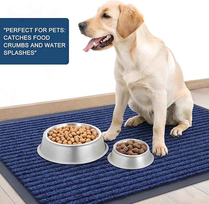 OLANLY Front Door Mat Indoor Outdoor Entrance, Waterproof Heavy Duty Doormat, Fade Resistant, Low Profile, Easy Clean Patio Porch Welcome Floor Mats for Entry, 59x30, Blue