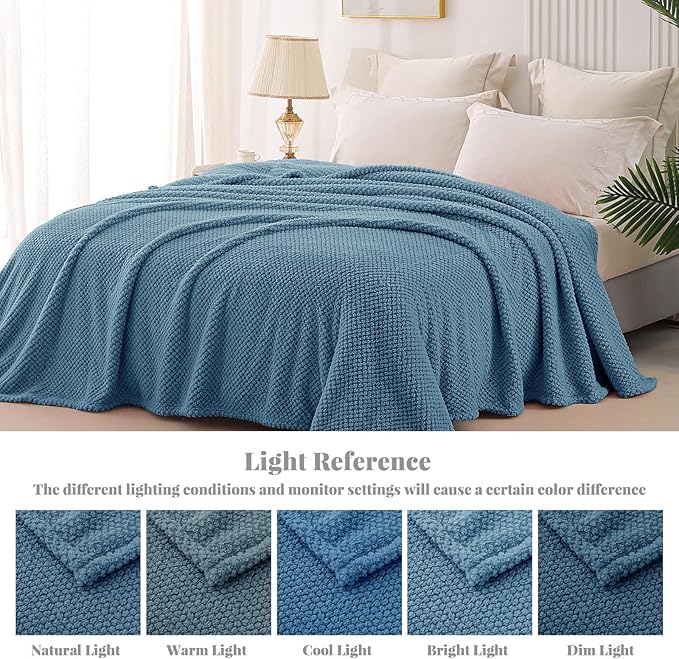 Whale Flotilla Queen Size Fuzzy Fleece Blanket, Fluffy Warm Soft Jacquard Bed Blankets for All Season, Lightweight and Cozy, 90x90 Inch, Slate Blue