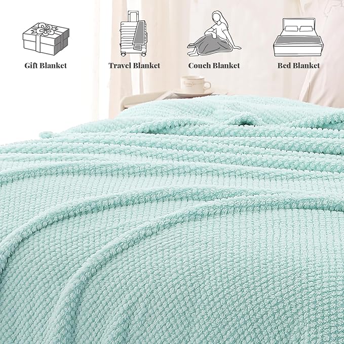 Whale Flotilla Twin Size Fuzzy Fleece Blanket for Bed, 60x80 Inch Fluffy Warm Soft Jacquard Blankets for All Season, Lightweight and Cozy, Light Blue