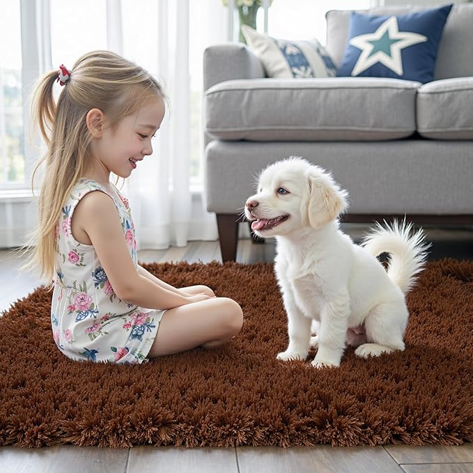 Area Rugs 9x12 Living Room, Shaggy Carpet Soft Plush Furry Bedside Rug Large Area Rugs for Bedroom Kids Girls Boys Home Decor Anti Slip(9 x 12, Coffee)