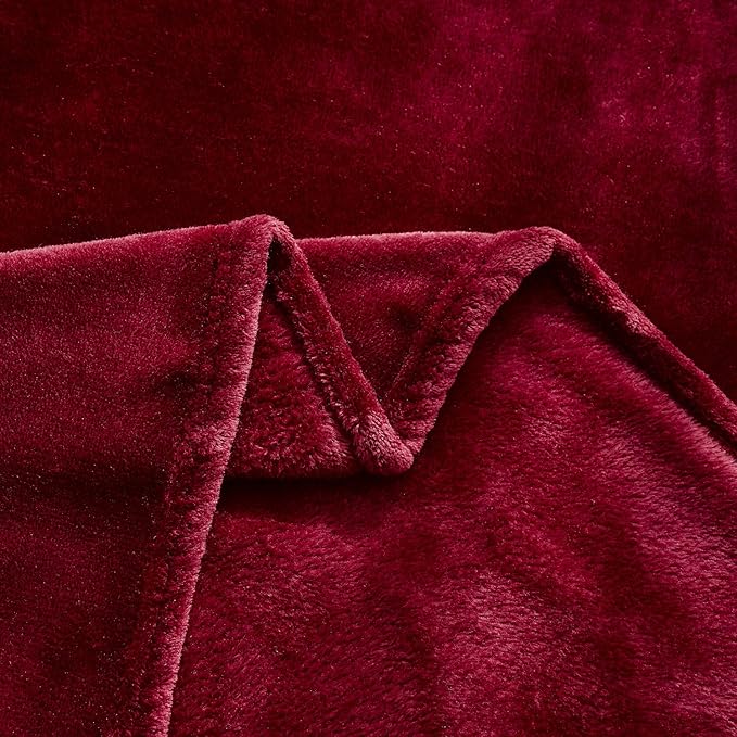TASTHROW Large Flannel Fleece Throw Blanket, 60×80 Inch - Cozy Lightweight Thick Blanket - All Seasons Suitable for Women, Men and Kids (Burgundy)