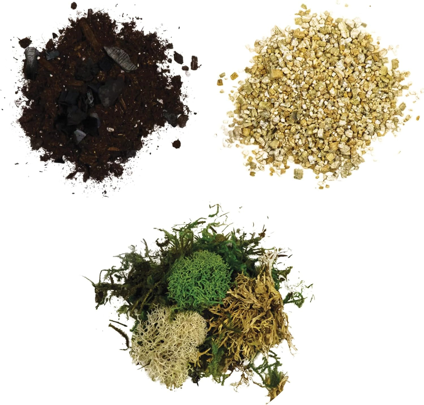 Cute Farms Glass Terrarium Kit | Just Add Your Own Plants (Two Glass Cylinders (3.25"))