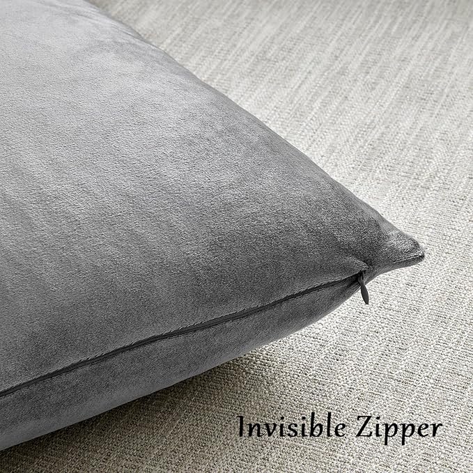 GIGIZAZA Velvet Dark Grey Throw Pillow Covers,20x20 Square Pillow Covers Set of 2 Decorative Modern Pillows for Living Room Couch Sofa Luxury Solid Pillow Cases