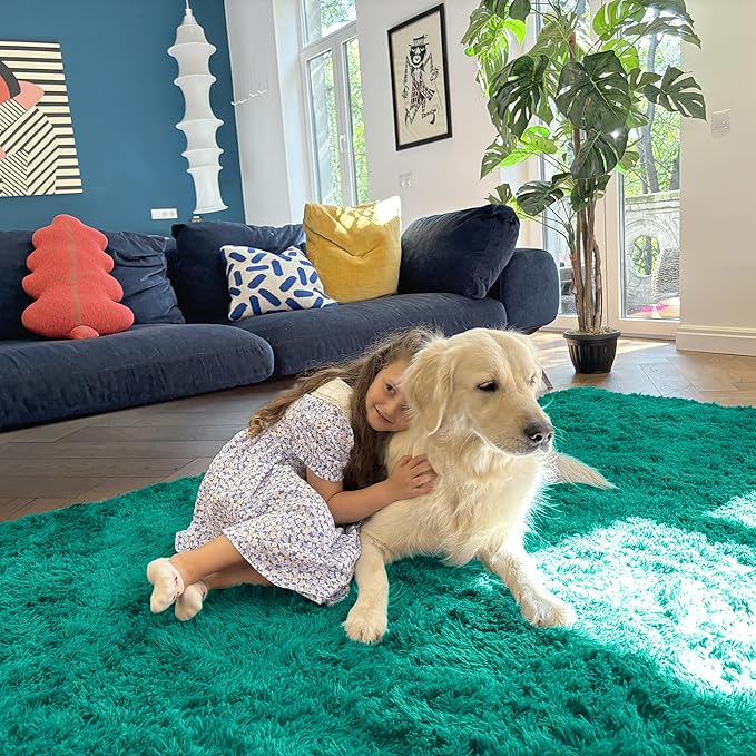 OLANLY 5x8 Machine Washable Large Area Rugs for Living Room, Bedroom, Soft Fluffy Shaggy Bedside Rug, Indoor Floor Carpet for Kids Girls and Boys, Dorms, Nursery, Home Decor Aesthetic, Teal Green