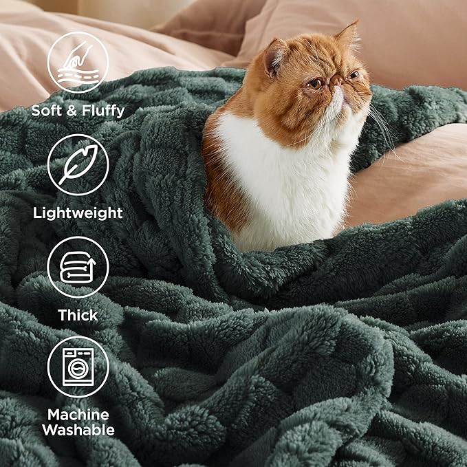 Bedsure GentleSoft Twin Blanket for Bed Dark Green - Super Soft Cozy Spring Blankets for Kids Girls, Cute Fuzzy Fleece Throws for Bedroom Couch, 60x80 Inches