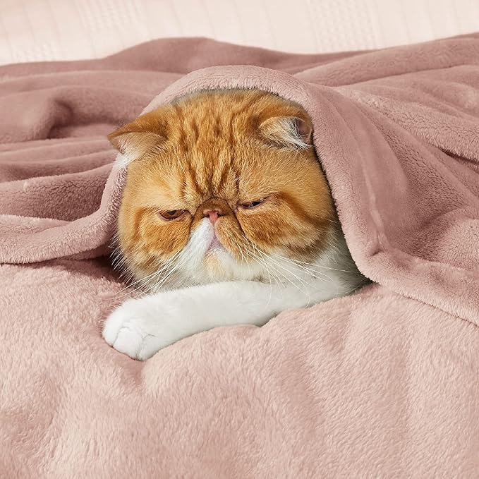 Bedsure GentleSoft Fleece Blankets Queen Size Dusty Pink - Bed Blanket Soft Lightweight Plush Fuzzy Cozy Luxury Microfiber, 90x90 inches