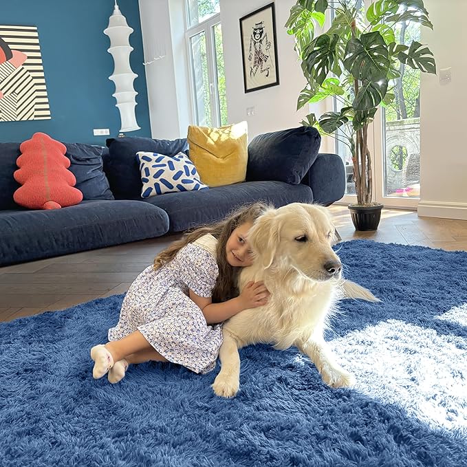 OLANLY 5x7 Machine Washable Large Area Rugs for Living Room, Bedroom, Soft Fluffy Shaggy Bedside Rug, Indoor Floor Carpet for Kids Girls and Boys, Dorms, Nursery, Home Decor Aesthetic, Blue