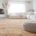 OLANLY 6x8 Machine Washable Large Area Rugs for Living Room, Bedroom, Soft Fluffy Shaggy Bedside Rug, Indoor Floor Carpet for Kids Girls and Boys, Dorms, Nursery, Home Decor Aesthetic, Beige