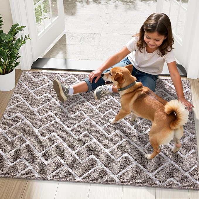 OLANLY Front Door Mat, Non-Slip Rubber Backing, Dirt Resistant and Absorbent, Washable, Easy to Clean Low-Profile Indoor Doormat for Back Door, Entryway, Inside Entrance, 48x32, Khaki