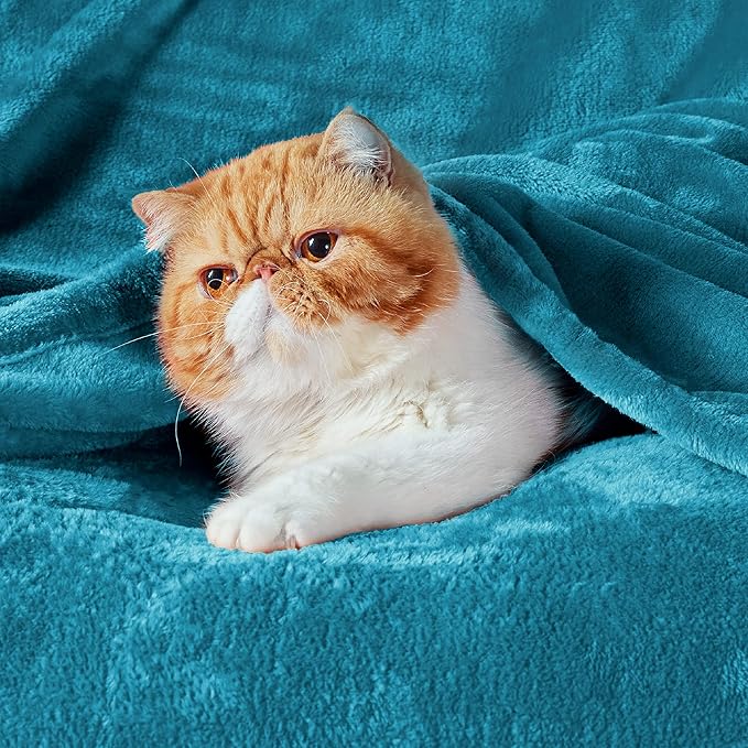 Bedsure GentleSoft Fleece Blankets Queen Size Teal - Bed Blanket Soft Lightweight Plush Fuzzy Cozy Luxury Microfiber, 90x90 inches
