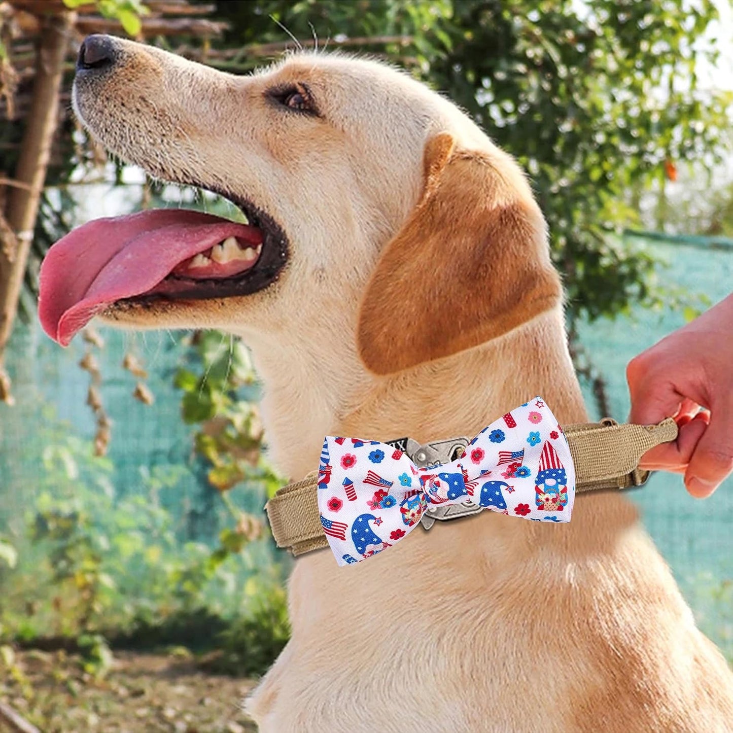 PET SHOW 10 Pack 4th of July Dog Bow Ties Sliding Collar Attachments Puppies Cats Patriotic Bowties for Medium Large Dogs US Flag Bowknots Pet Grooming Accessories for Independence Day