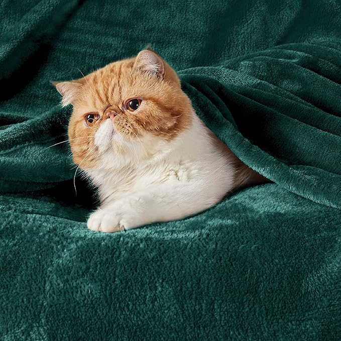 Bedsure GentleSoft Fleece Throw Blanket Forest Green - 300GSM Blankets for Couch, Sofa, Bed, Soft Lightweight Plush Cozy Throws for Toddlers, 50x60 inches
