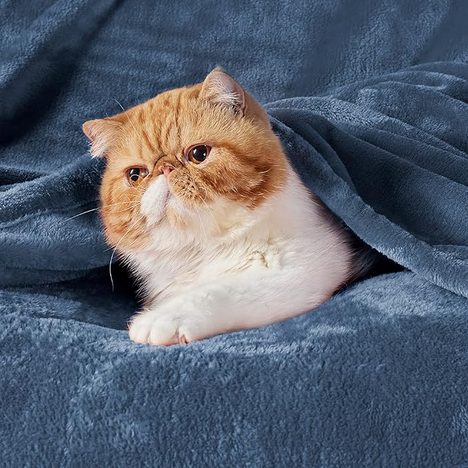 Bedsure GentleSoft Fleece Blankets Queen Size Mineral Blue - Bed Blanket Soft Lightweight Plush Fuzzy Cozy Luxury Microfiber, 90x90 inches