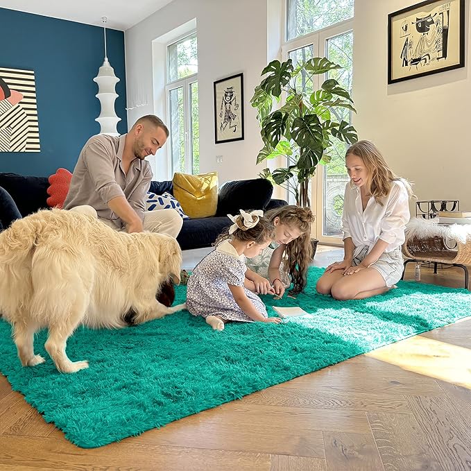 OLANLY 5x7 Machine Washable Large Area Rugs for Living Room, Bedroom, Soft Fluffy Shaggy Bedside Rug, Indoor Floor Carpet for Kids Girls and Boys, Dorms, Nursery, Home Decor Aesthetic, Teal Green