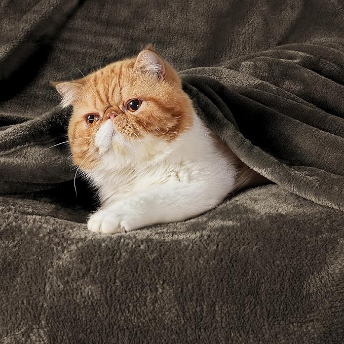 Bedsure GentleSoft Fleece Throw XL Blanket Brown - 300GSM Soft Lightweight Plush Cozy Blankets for Bed, Sofa, Couch, Travel, Camping, 50x70 inches