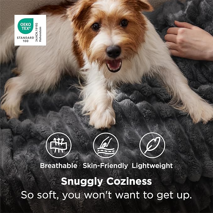 Bedsure GentleSoft Grey Twin Blanket for Bed - Super Soft Cozy Blankets for Women, Cute Large Blanket for Girls, 66x90 Inches