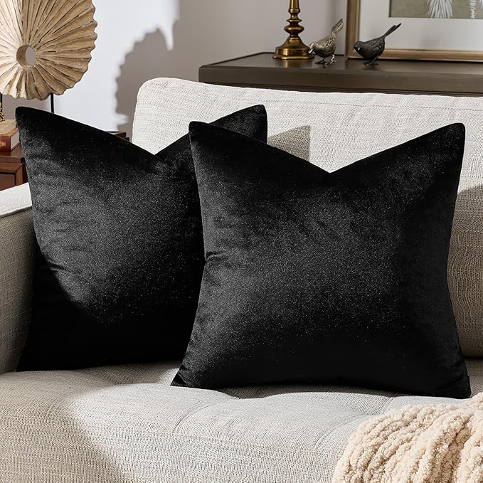 GIGIZAZA Black Velvet Pillow Covers 16x16,Decorative Square Throw Pillows Modern Covers Small Solid Living Room Pillow Cases for Couch Pack of 2