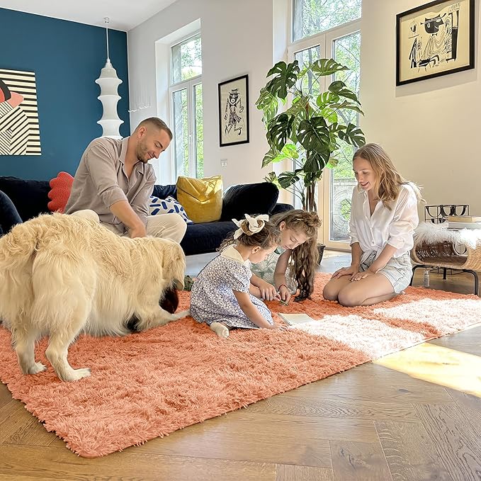 OLANLY 5x8 Machine Washable Large Area Rugs for Living Room, Bedroom, Soft Fluffy Shaggy Bedside Rug, Indoor Floor Carpet for Kids Girls and Boys, Dorms, Nursery, Home Decor Aesthetic, Muted Orange