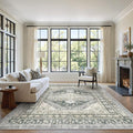 zesthome 6x9 Area Rug, Super Soft Washable Rugs for Living Room, Non-Slip Stain Resistant Vintage Rugs, Ultra-Thin Large Area Rugs (Wheat/Charcoal,6'x9')